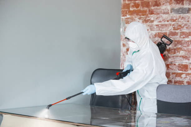 Best Mold Odor Removal Services  in USA